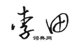 駱恆光李田草書個性簽名怎么寫
