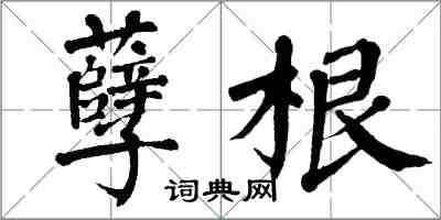 翁闓運孽根楷書怎么寫