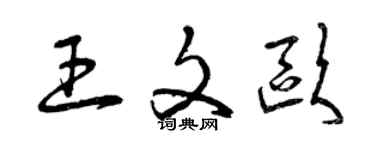 曾慶福王文歐草書個性簽名怎么寫
