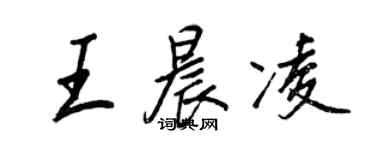 王正良王晨凌行書個性簽名怎么寫