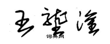 朱錫榮王壟淦草書個性簽名怎么寫