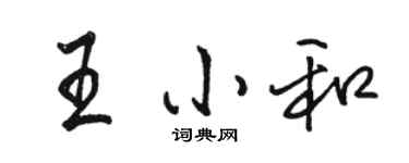 駱恆光王小和行書個性簽名怎么寫
