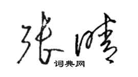 駱恆光張晴草書個性簽名怎么寫