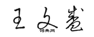 駱恆光王文盛草書個性簽名怎么寫