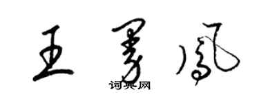 梁錦英王曼鳳草書個性簽名怎么寫