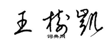 梁錦英王樹凱草書個性簽名怎么寫