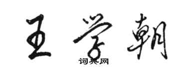 駱恆光王學朝行書個性簽名怎么寫