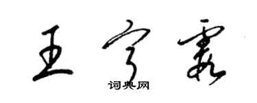 梁錦英王寧霞草書個性簽名怎么寫