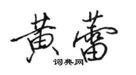 駱恆光黃蕾行書個性簽名怎么寫