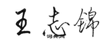 駱恆光王志錦行書個性簽名怎么寫