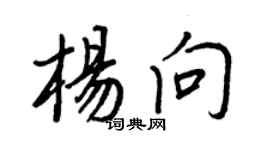 王正良楊向行書個性簽名怎么寫