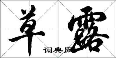 胡問遂草露行書怎么寫