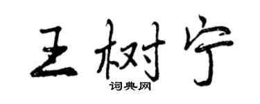曾慶福王樹寧行書個性簽名怎么寫