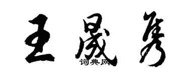 胡問遂王晟雋行書個性簽名怎么寫