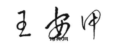 駱恆光王安甲草書個性簽名怎么寫