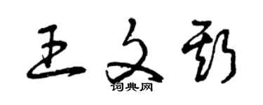 曾慶福王文斯草書個性簽名怎么寫