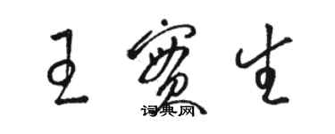 駱恆光王實生草書個性簽名怎么寫