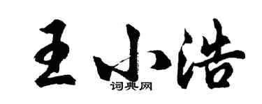 胡問遂王小浩行書個性簽名怎么寫