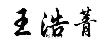 胡問遂王浩菁行書個性簽名怎么寫