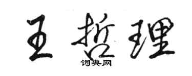 駱恆光王哲理行書個性簽名怎么寫