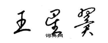 梁錦英王星翼草書個性簽名怎么寫