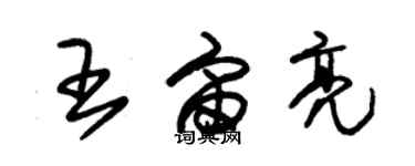 朱錫榮王宙亮草書個性簽名怎么寫