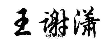 胡問遂王謝瀟行書個性簽名怎么寫