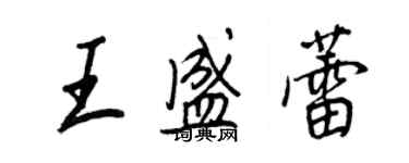 王正良王盛蕾行書個性簽名怎么寫