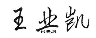 駱恆光王業凱行書個性簽名怎么寫
