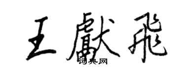 王正良王獻飛行書個性簽名怎么寫