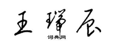 梁錦英王瑞辰草書個性簽名怎么寫