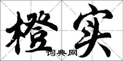 胡問遂橙實行書怎么寫