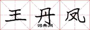 袁強王丹鳳楷書怎么寫