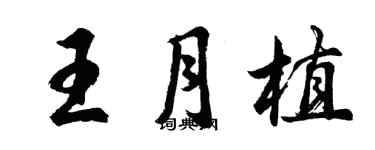 胡問遂王月植行書個性簽名怎么寫