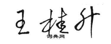 駱恆光王桂升草書個性簽名怎么寫