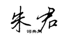 王正良朱君行書個性簽名怎么寫