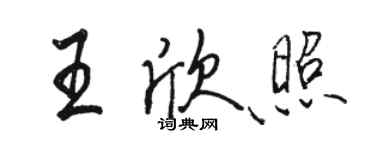 駱恆光王欣照行書個性簽名怎么寫