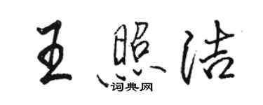 駱恆光王照潔行書個性簽名怎么寫