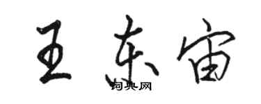 駱恆光王東宙行書個性簽名怎么寫