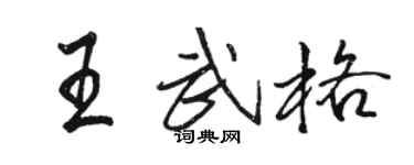 駱恆光王武格行書個性簽名怎么寫