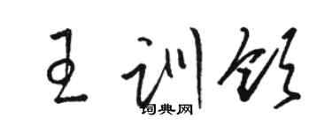 駱恆光王訓領草書個性簽名怎么寫