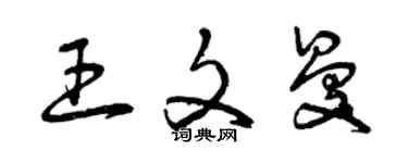 曾慶福王文曼草書個性簽名怎么寫