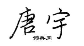 王正良唐宇行書個性簽名怎么寫