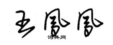 朱錫榮王鳳鳳草書個性簽名怎么寫