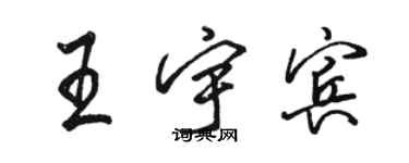 駱恆光王宇賓行書個性簽名怎么寫