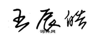 朱錫榮王辰皓草書個性簽名怎么寫