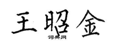 何伯昌王昭金楷書個性簽名怎么寫
