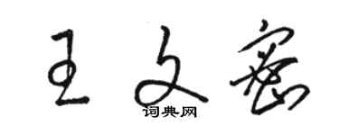 駱恆光王文密草書個性簽名怎么寫