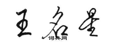 駱恆光王名星行書個性簽名怎么寫