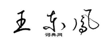 梁錦英王東鳳草書個性簽名怎么寫